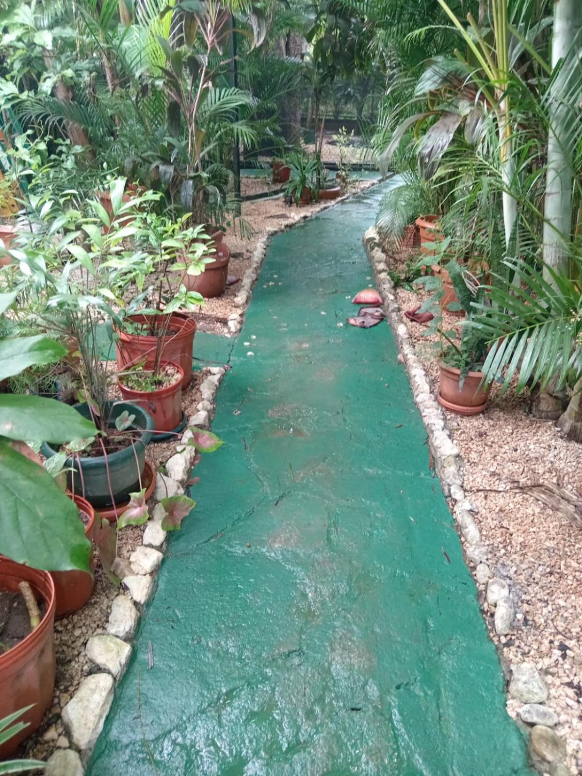 Nambi